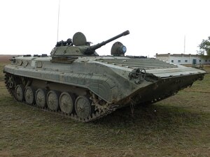BMP-1 class