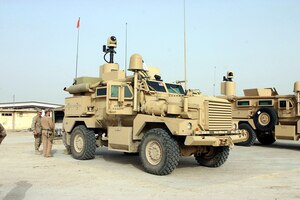 Cougar / Mastiff